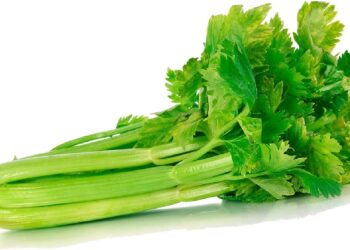 Comer Apio crudo facilita la erección