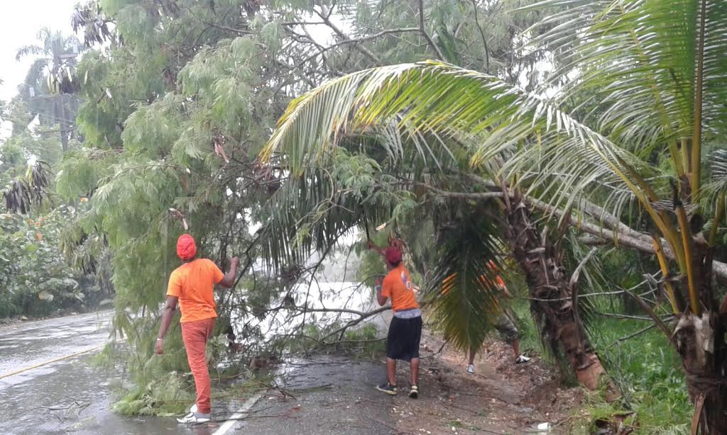 Sectores afectados por lluvia se quejan lentitud de la ayuda oficial