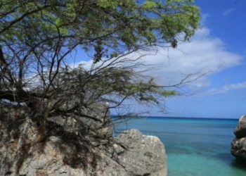 La firma Sunwing explora invertir en Bahía de las Águilas