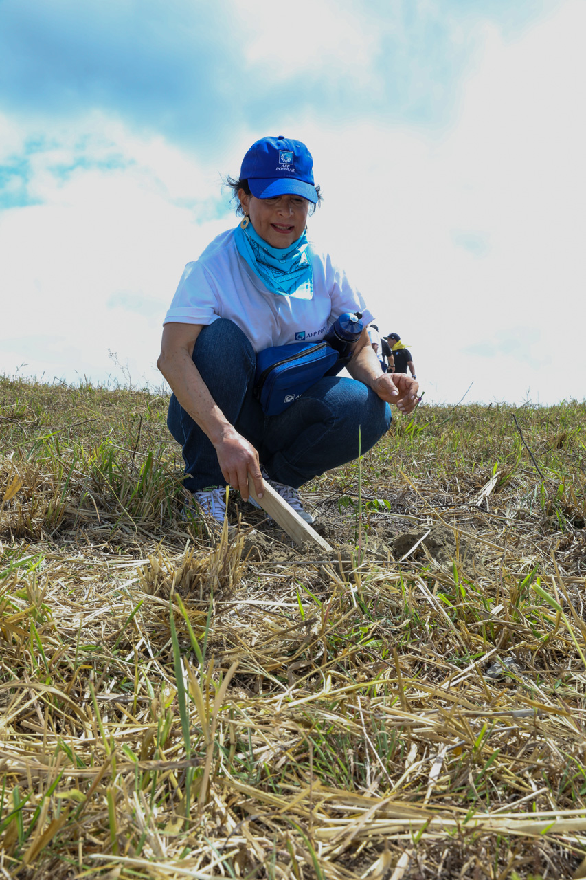Empleados AFP Popular reforestan en la sierra