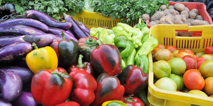 Productos agrícolas de 12 provincias sin restricciones para entrar a EEUU