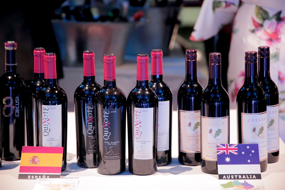 Lanzan “Tour Experience Punta Cana”