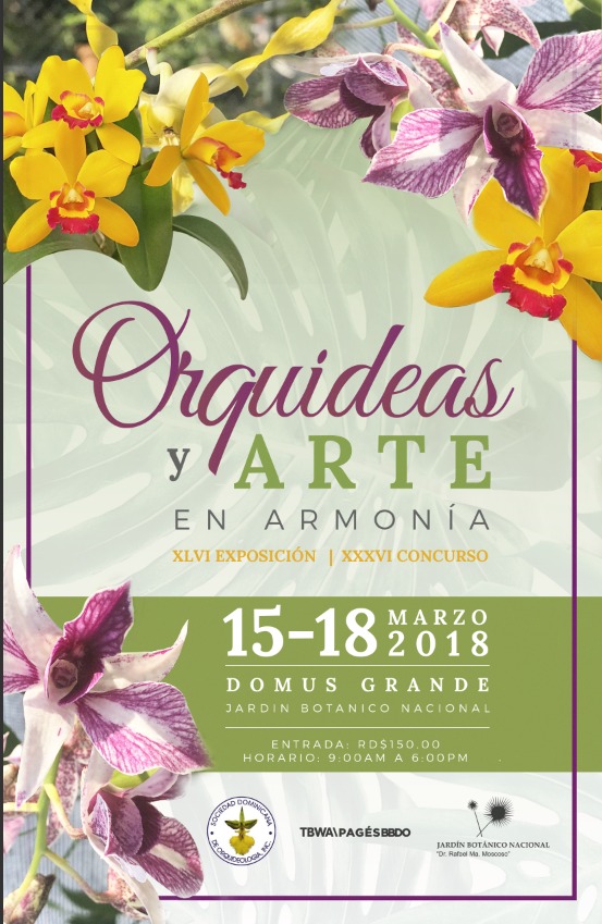 Las orquídeas y el arte en armonía en el Jardín Botánico