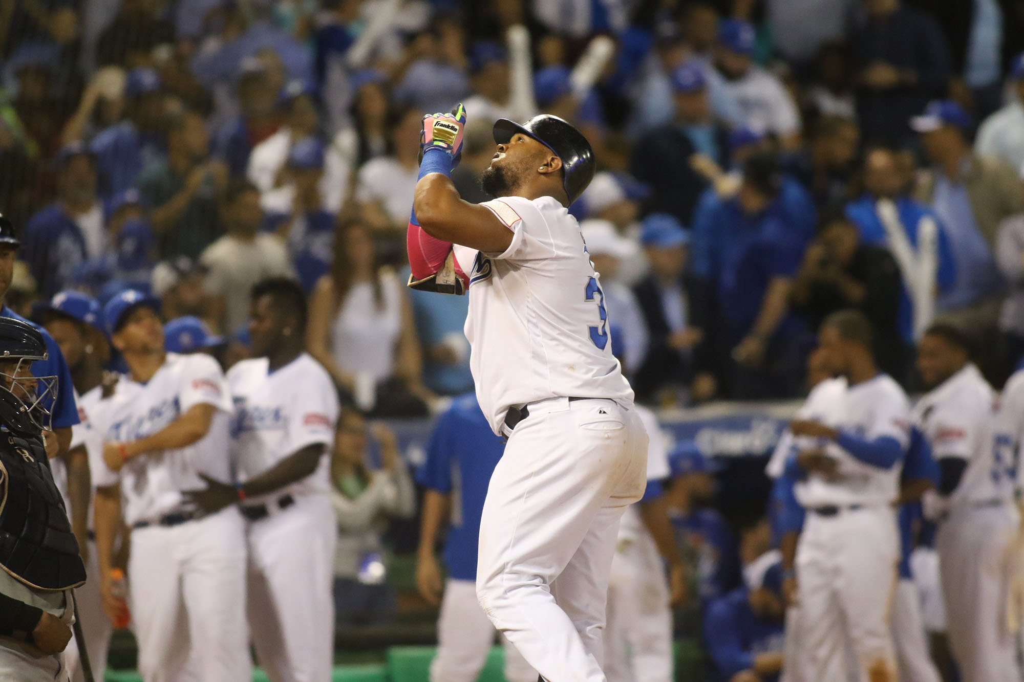 ¡Águilas Cibaeñas gana campeonato!