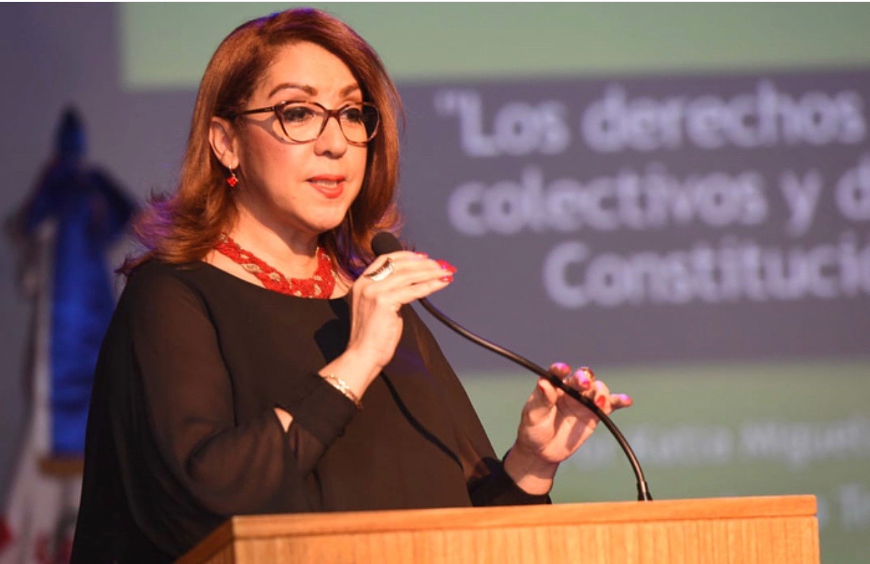 Jueces del TC resaltan derechos difusos y colectivos en la Constitución