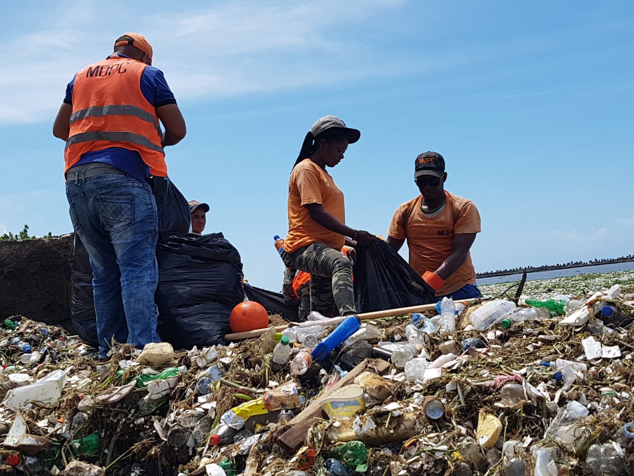 Retiran desechos sólidos del malecón de la capital