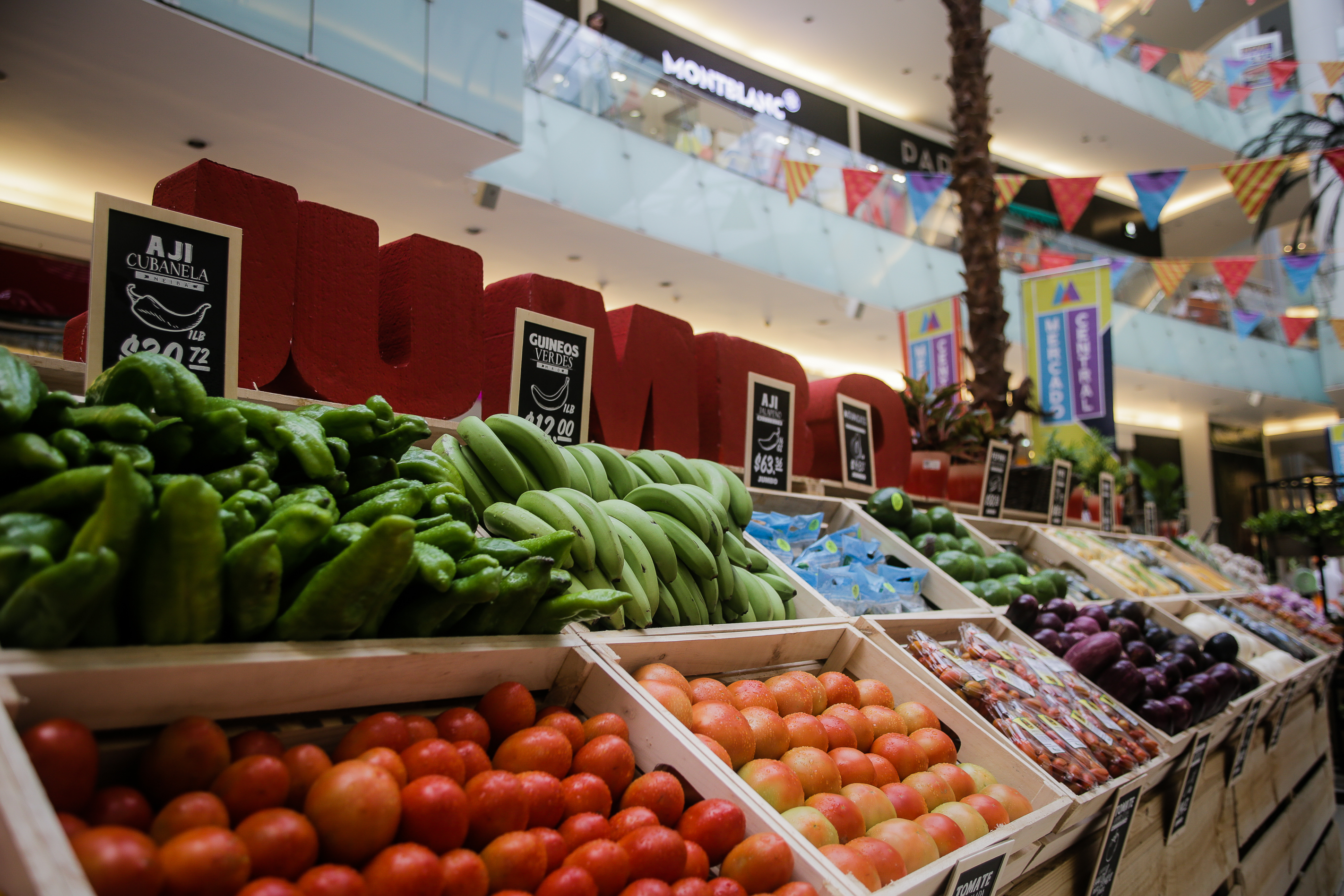 Pequeños y medianos productores llegan desde el campo a plaza comercial
