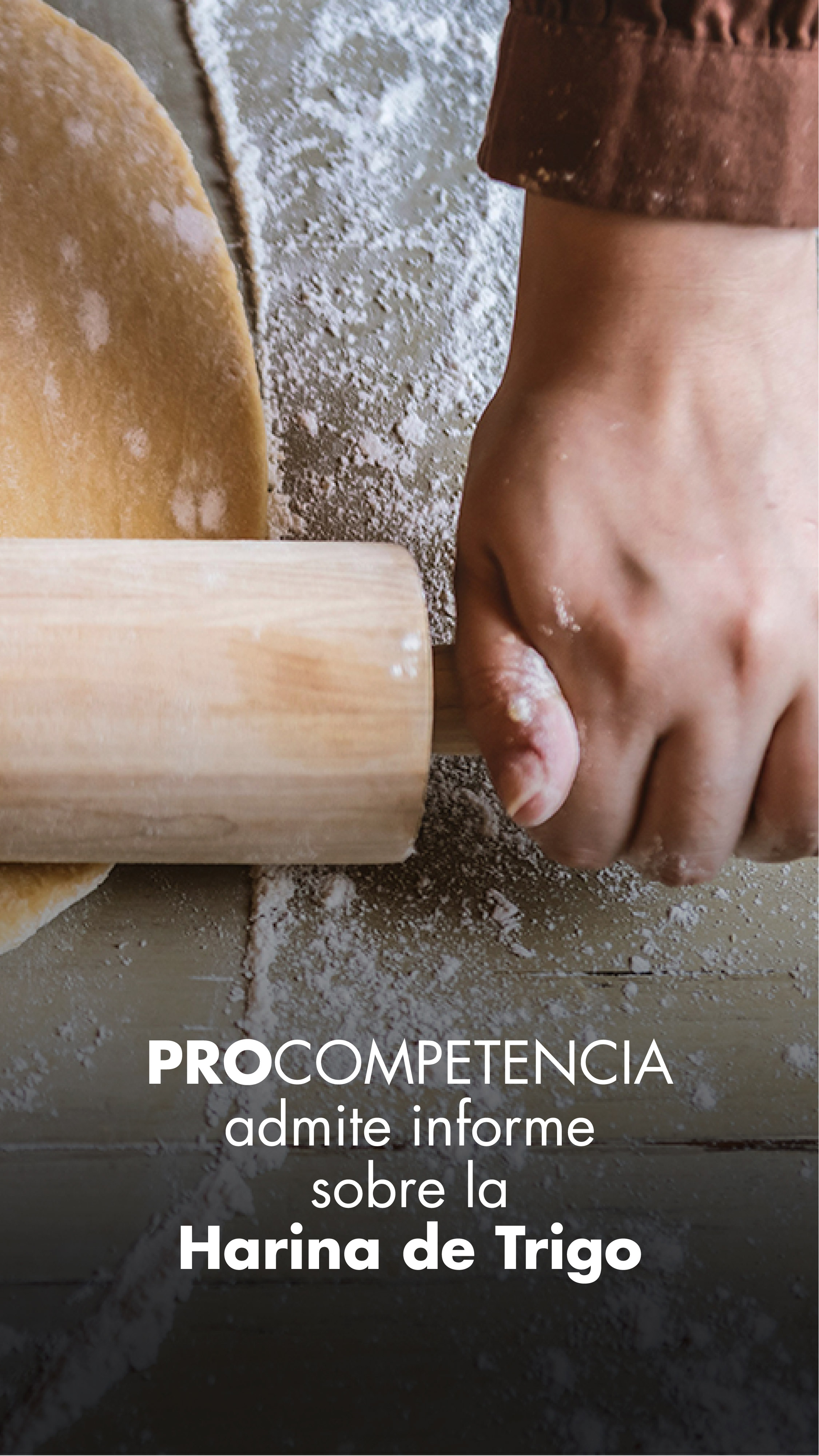 Pro Competencia emite resolución sobre harina de trigo