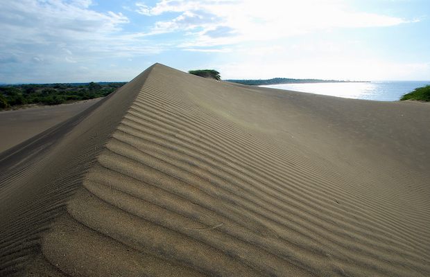Una investigación ayuda a entender la dinámica de formación de las dunas