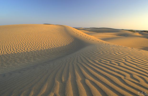 Una investigación ayuda a entender la dinámica de formación de las