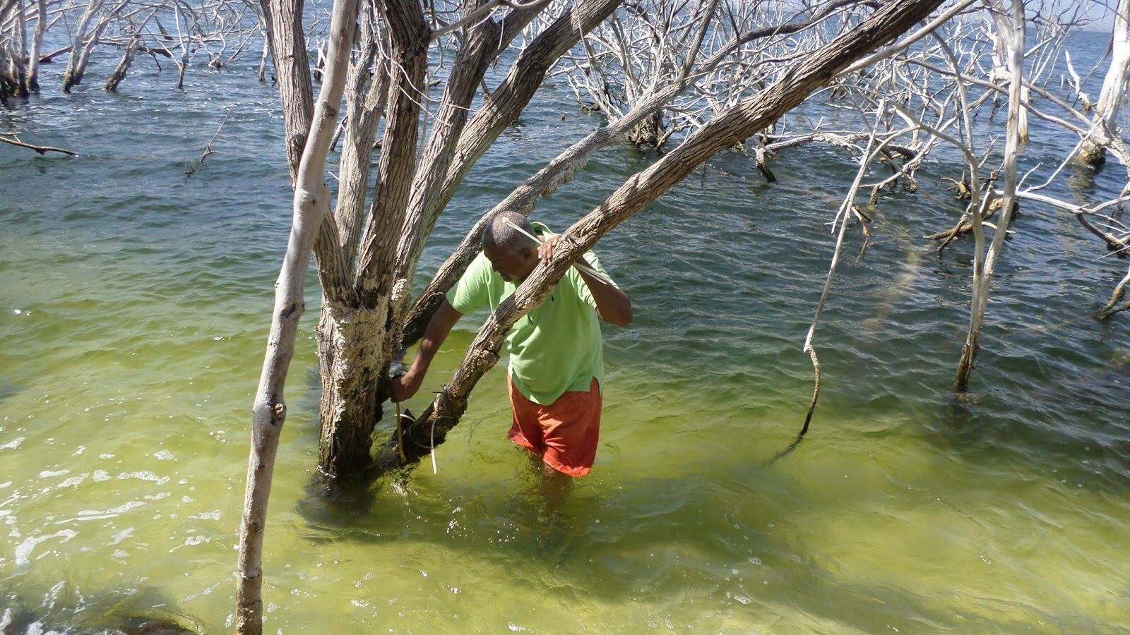 Áreas protegidas enfrentan limitaciones que impiden su administración efectiva