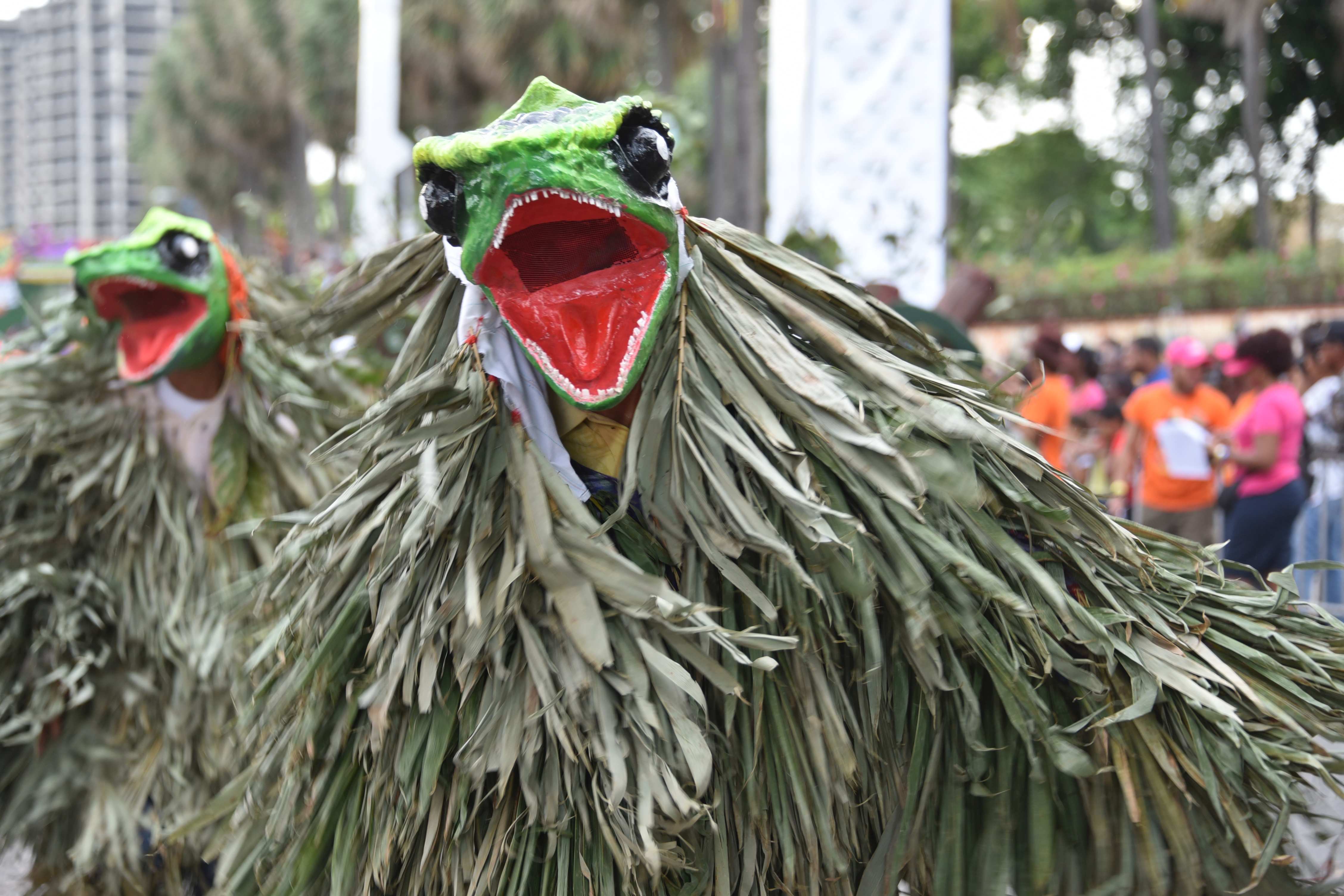 Lo que debe saber sobre el Desfile Nacional de Carnaval 2019 a celebrarse el domingo