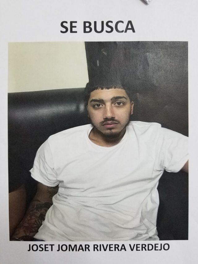 Dos hombres y una mujer de la FARC boricua arrestados en República Dominicana