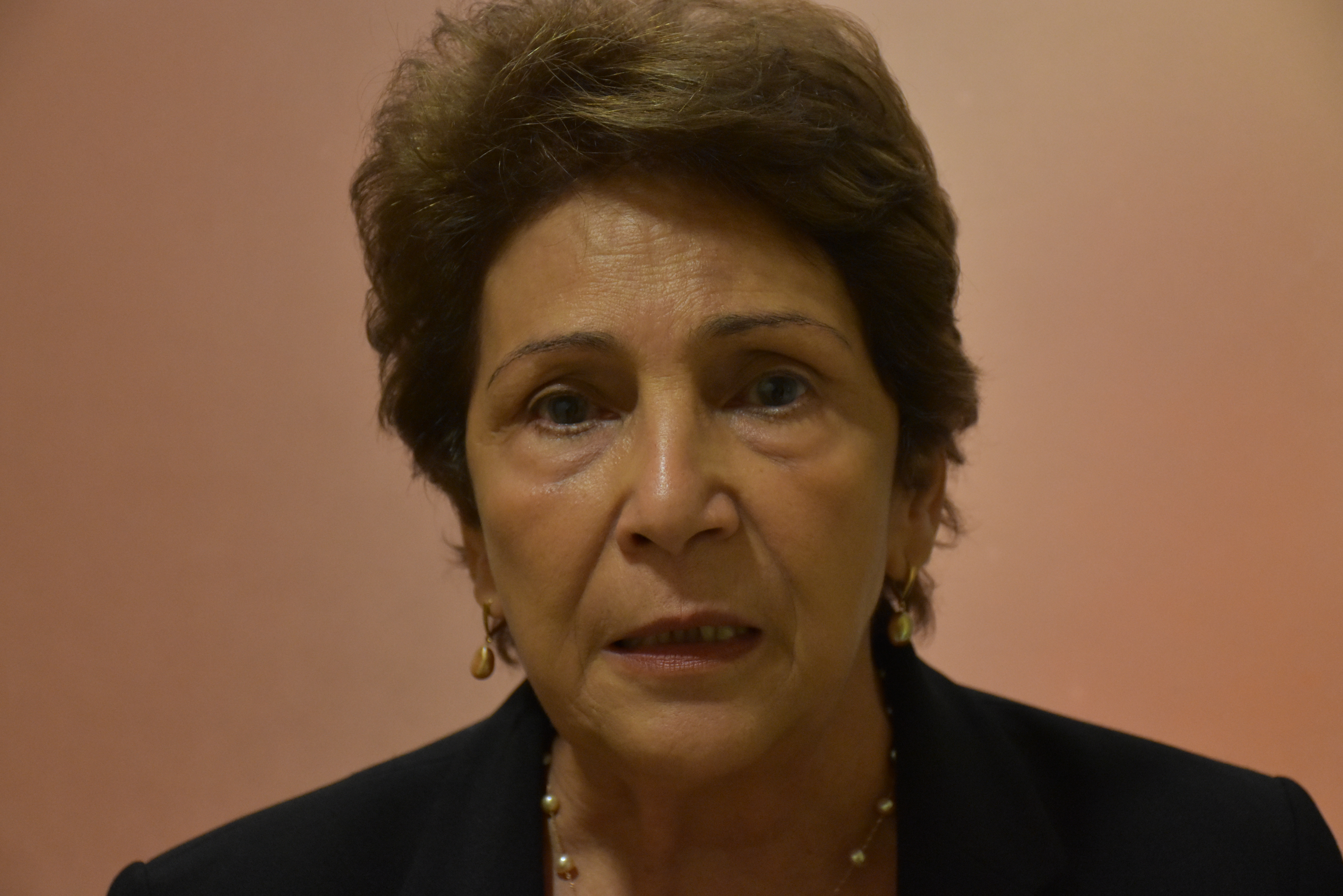 UASD recibe visita profesores del Hostos Community College