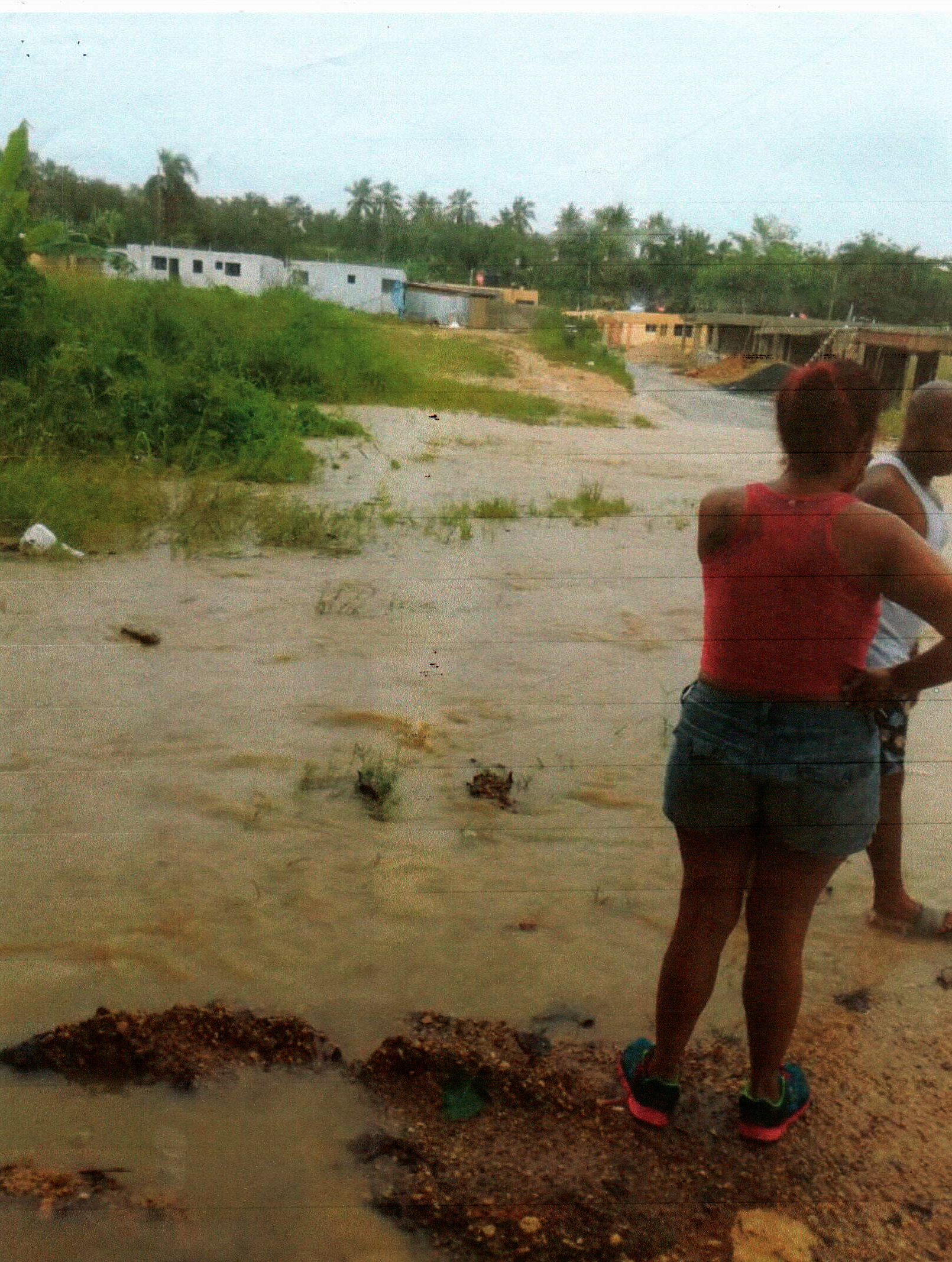 Pro Consumidor inicia proceso legal contra inmobiliaria construyó proyecto habitacional en una cañada