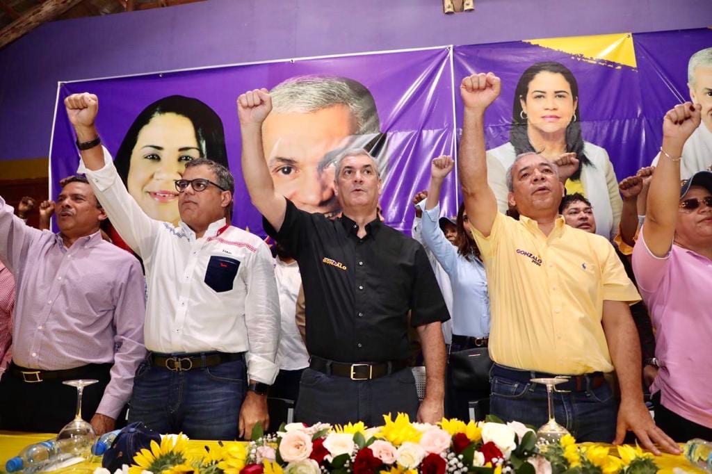 Lo que le pidió Gonzalo Castillo a Juan Bosch