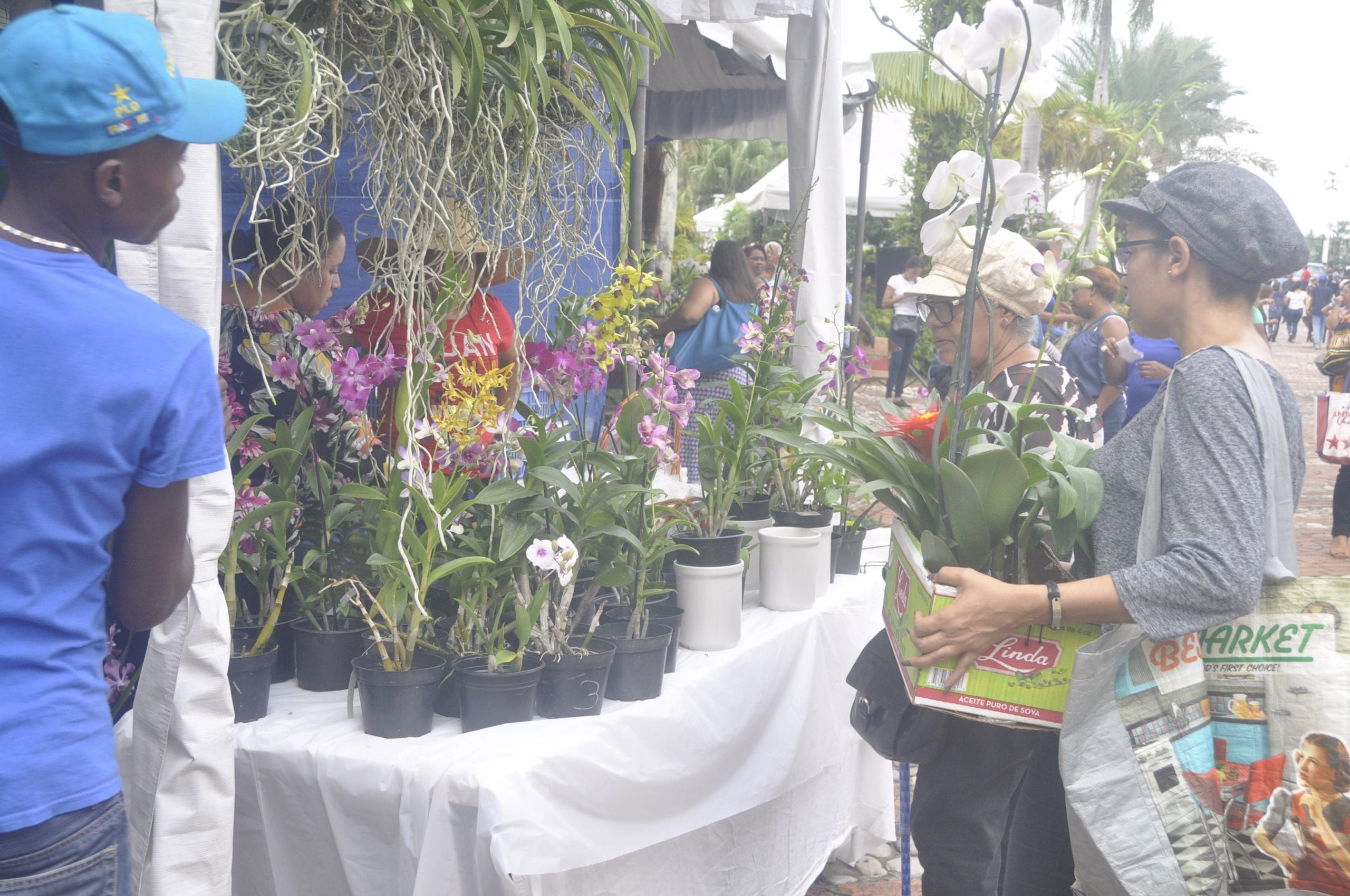 Jardín Botánico inaugura su XV Festival Nacional de Plantas y Flores