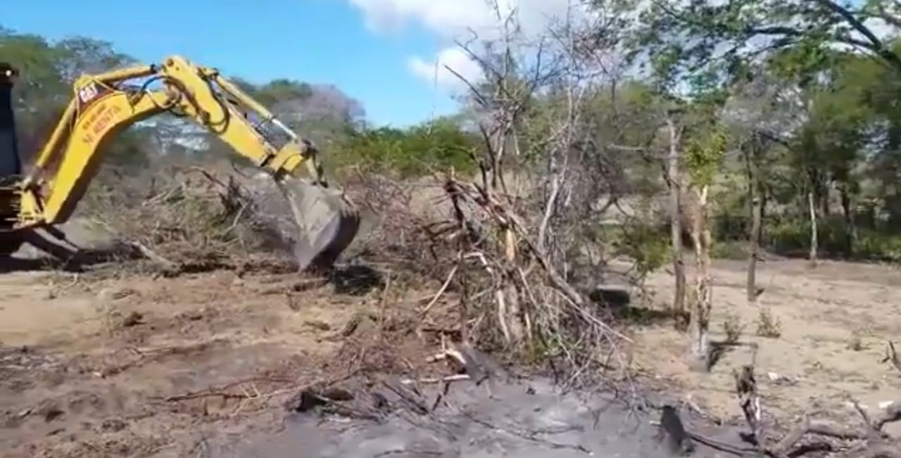 Academia de Ciencias reclama protección para el Monumento Natural Dunas de Bani