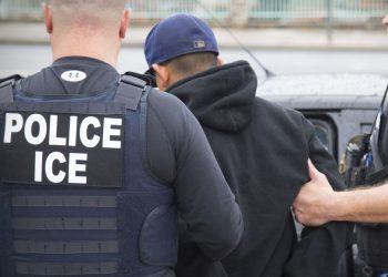 Inmigración NY reapresa supuesto narco dominicano habían liberado sin fianza