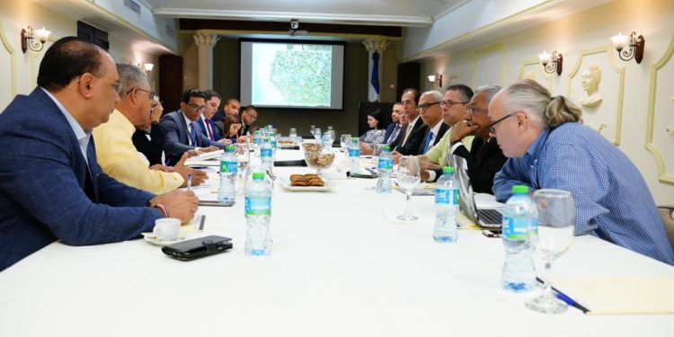 Comisión consulta expertos medioabientalistas sobre construcción proyecto Leaf Bayahibe