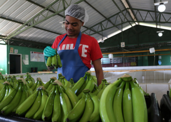 Gobierno priorizará industria nacional en compras públicas