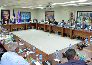 PLD advierte que cuestionar proceso electoral es un atentado a la institucionalidad