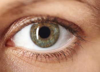 El glaucoma, primera causa de ceguera irreversible.