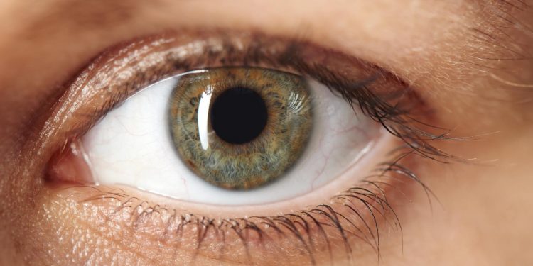 El glaucoma, primera causa de ceguera irreversible.