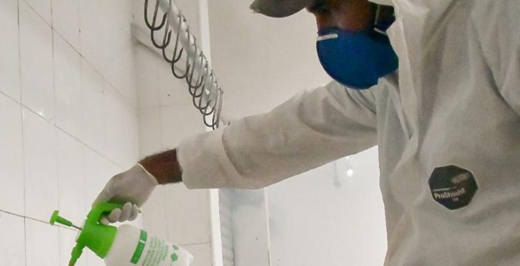 Realizan operativo de limpieza en mercado de la avenida Duarte.