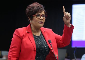 Diputada Josefa Castillo cree Gobierno usa Covid-19 para política a su favor