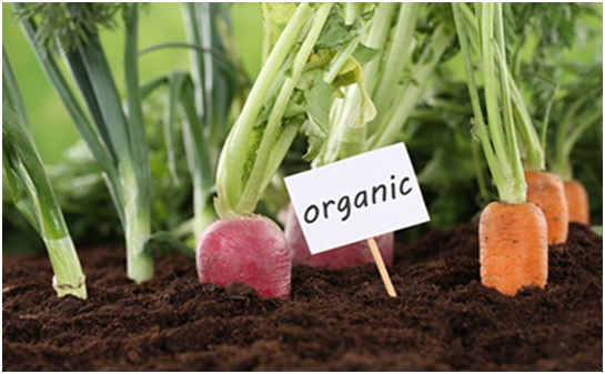 Producción orgánica: Un mercado promisorio