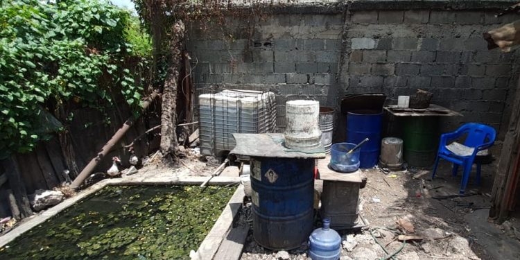 A la Justicia tres vinculados a comercialización de clerén, triculí y Tapa floja