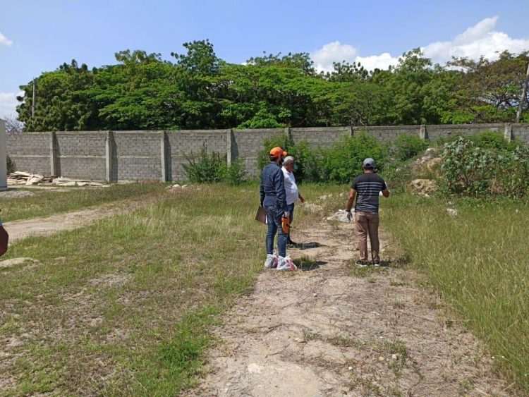 ¡Alarma! Alcalde de Santiago construye fosa común, por si acaso