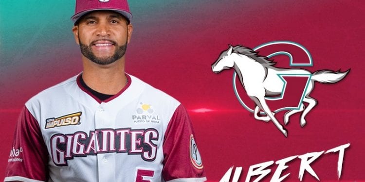 Alberto Pujols con la mira puesta en jugar en Lidom