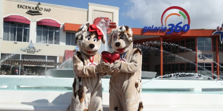 Galería 360 con atractiva programación en línea en tiempo de COVID-19