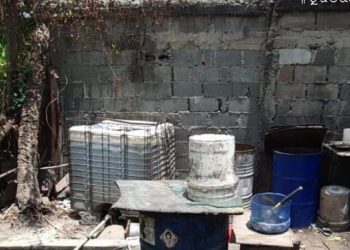 Unas 48 personas han fallecido por ingesta de clerén