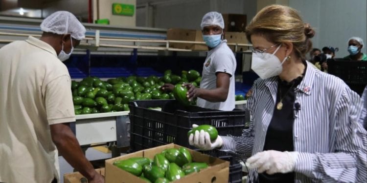 Raquel Peña: "Programas sociales deben incluir trabajador de la tierra"