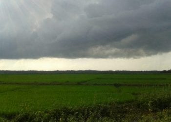 Ciclón Amphan deja más devastación de la esperada en India y Bangladesh