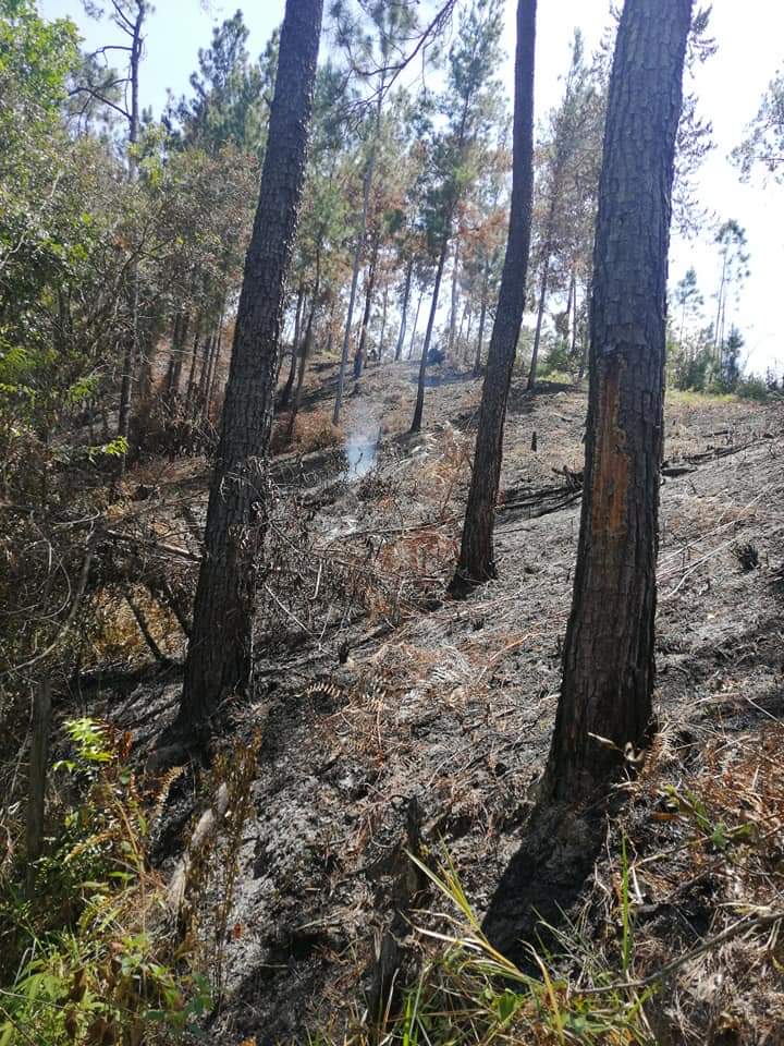 Ambientalistas denuncian amenazas y demandan protección del Estado