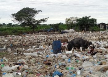 Industria sustituirá vertedero a cielo abierto