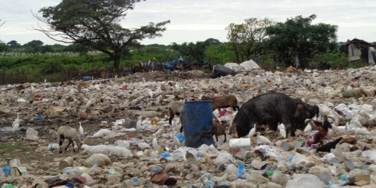 Industria sustituirá vertedero a cielo abierto