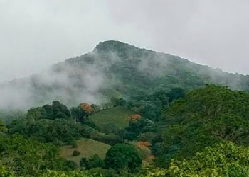 Drones vigilan Reserva Científica Loma Quita Espuela