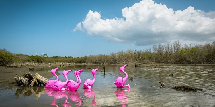 Exposición virtual La Era Plasteozoica: una eco-distopía animada, del colectivo PictoriaNewhouse.