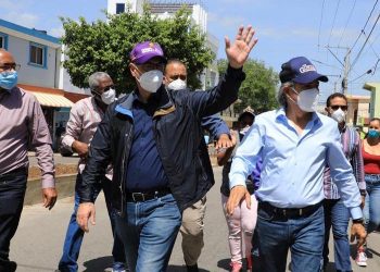 Gonzalo Castillo llama a peledeístas a defender el voto en las urnas