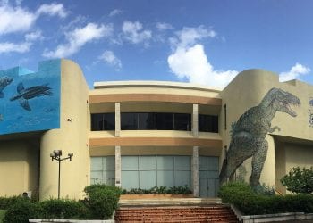 Museo de Historia Natural anuncia videoconferencia “Viaje al Sol”