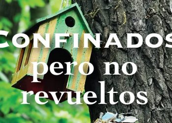 “Confinados, pero no revueltos” la nueva entrega de la escritora Milena Delgado Durán