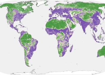La mitad de la Tierra está relativamente intacta de la influencia humana global