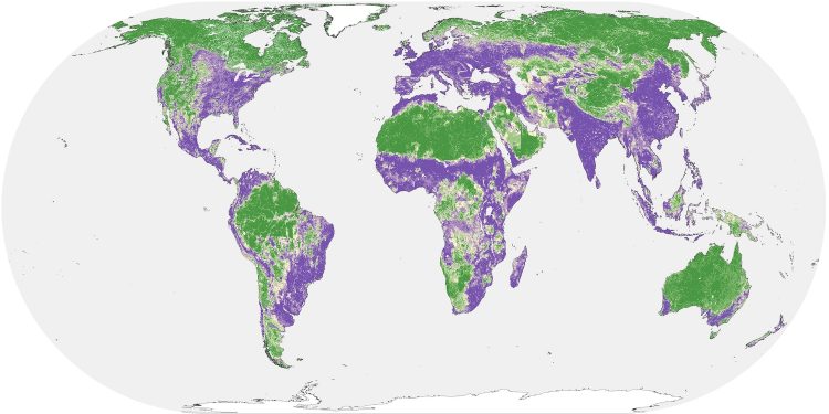 La mitad de la Tierra está relativamente intacta de la influencia humana global