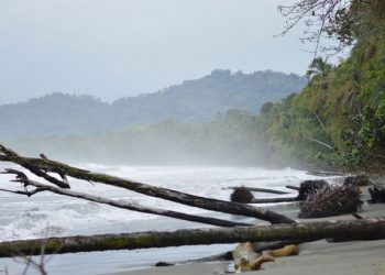 Lecciones en Suecia y Costa Rica combatiendo la covid y el clima