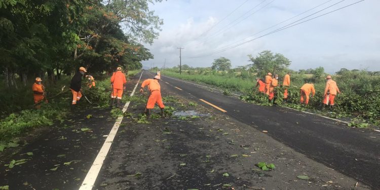 Brigadas despejan vías de árboles derribados por tormenta Isaías